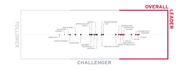 Шкала лидеров в сегменте PAM Шкала лидеров в сегменте PAM