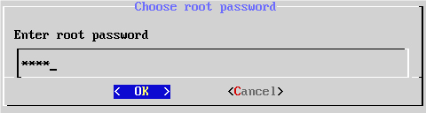 Задание паролей администраторов в процессе установки КриптоПро NGate