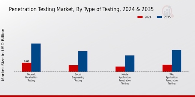 Структурный анализ рынка тестирования на проникновение Структурный анализ рынка тестирования на проникновение
