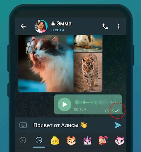 Общая схема работы сервиса Telegram