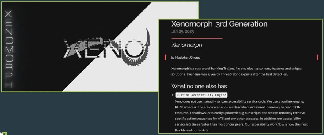 image1xenomorph_new_version.jpeg