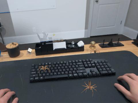 Уязвимость Vision Pro позволяла наводнить виртуальную комнату пауками