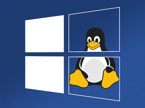 Августовские обновления Microsoft сломали мультизагрузку Linux