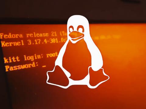 Новый Linux-руткит Pumakit был замечен в реальных кибератаках