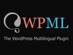 В WordPress-плагине WPML с 1 млн установок нашли критическую уязвимость