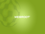 Webroot детектирует файлы Windows и Facebook как вредоносные