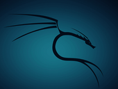 Вышла Kali Linux 2024.2 с 18 новыми инструментами и фиксом для Y2038