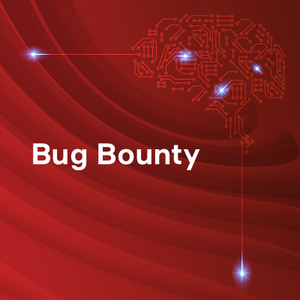 Bug Bounty