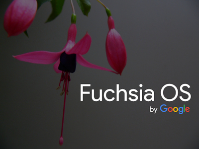 Эксперты АНБ проанализировали безопасность ОС Google Fuchsia