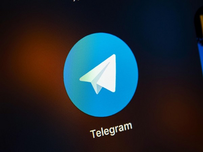 Совет по правам человека выступает против блокировки Telegram