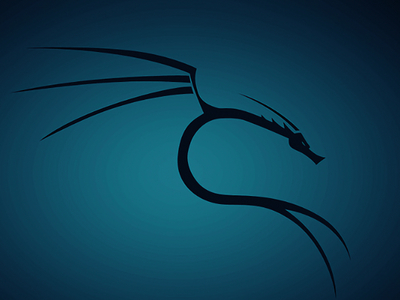 Вышла Kali Linux 2024.2 с 18 новыми инструментами и фиксом для Y2038