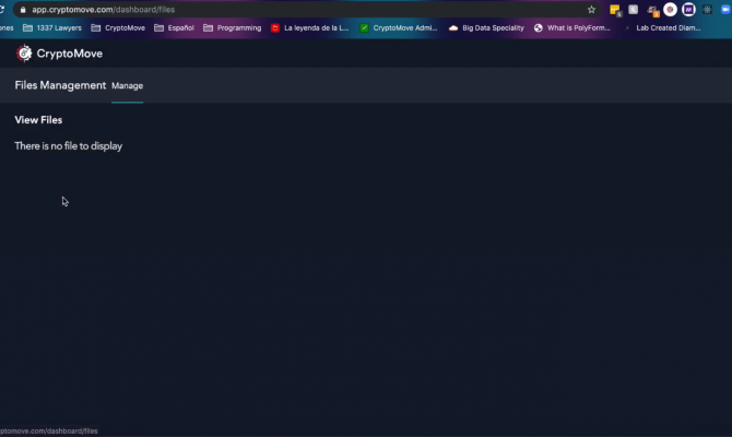  CryptoMove. File management